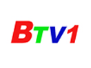 Binh Duong TV 1 logo