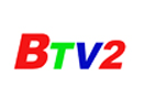 Binh Duong TV 2 logo