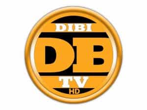 The logo of DiBi TV