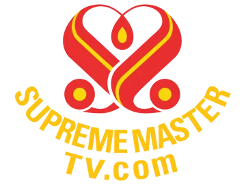 The logo of Supreme Master TV