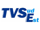 The logo of TV SudEst